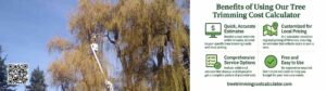 Tree Trimming Cost Calculator - Accurate Tree Trimming Costs ...