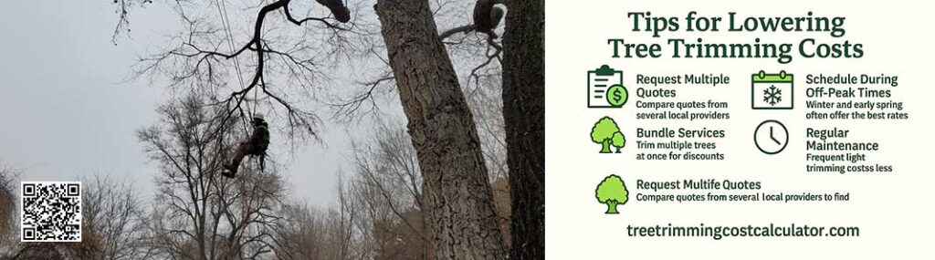 tips for lowering tree trimming costs