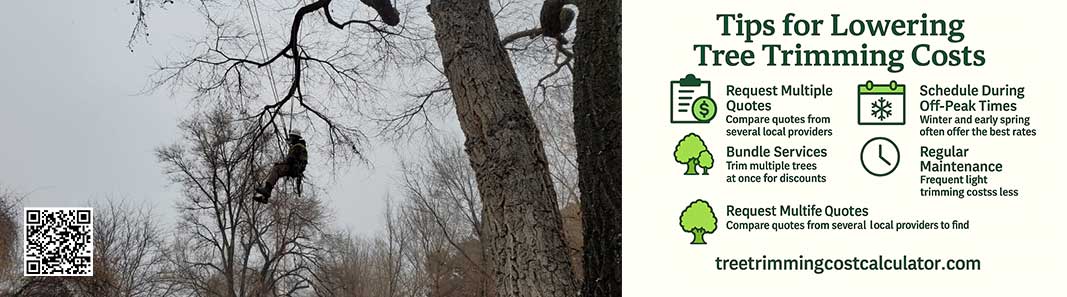 Tree Trimming Cost Calculator - Accurate Tree Trimming Costs ...