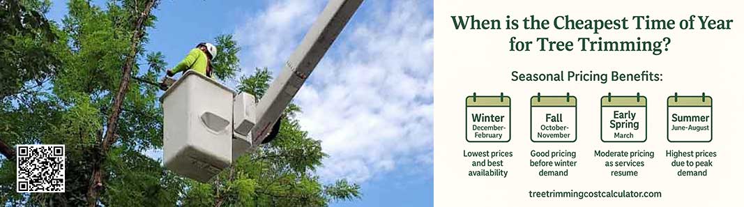 when is the cheapest time of year for tree trimming